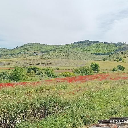カサジャ・デ・ラ・シエラ Casa El Azahinゲストハウス 部屋 写真